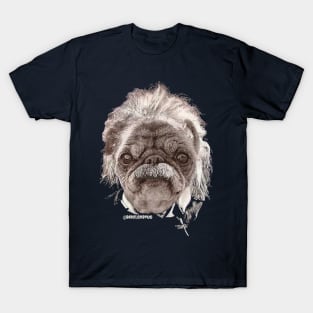 Albert einstein T-Shirt